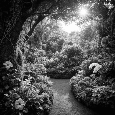 Assortment of raw vegan chocolate ingredients like cacao beans, cacao butter, and agave syrup on a wooden table